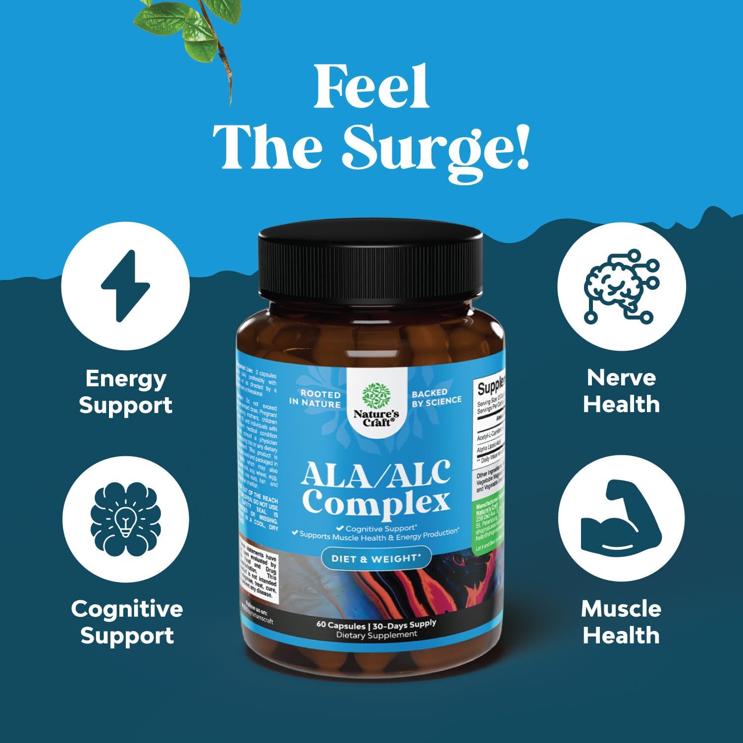 کپسول ال کارنیتین Natures Craft، 60 کپسول