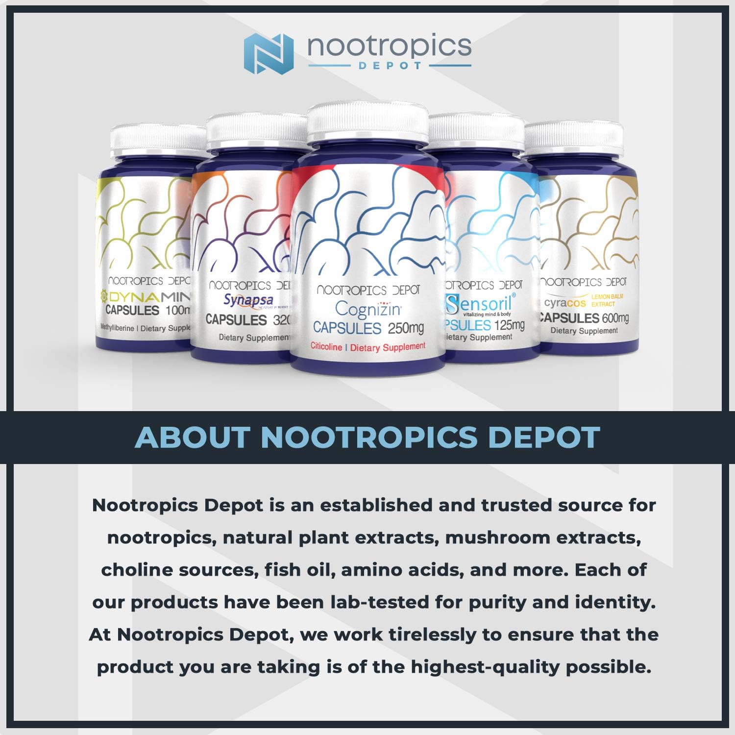 مکمل نیتریک اکسید Nootropics Depot، 120 عدد