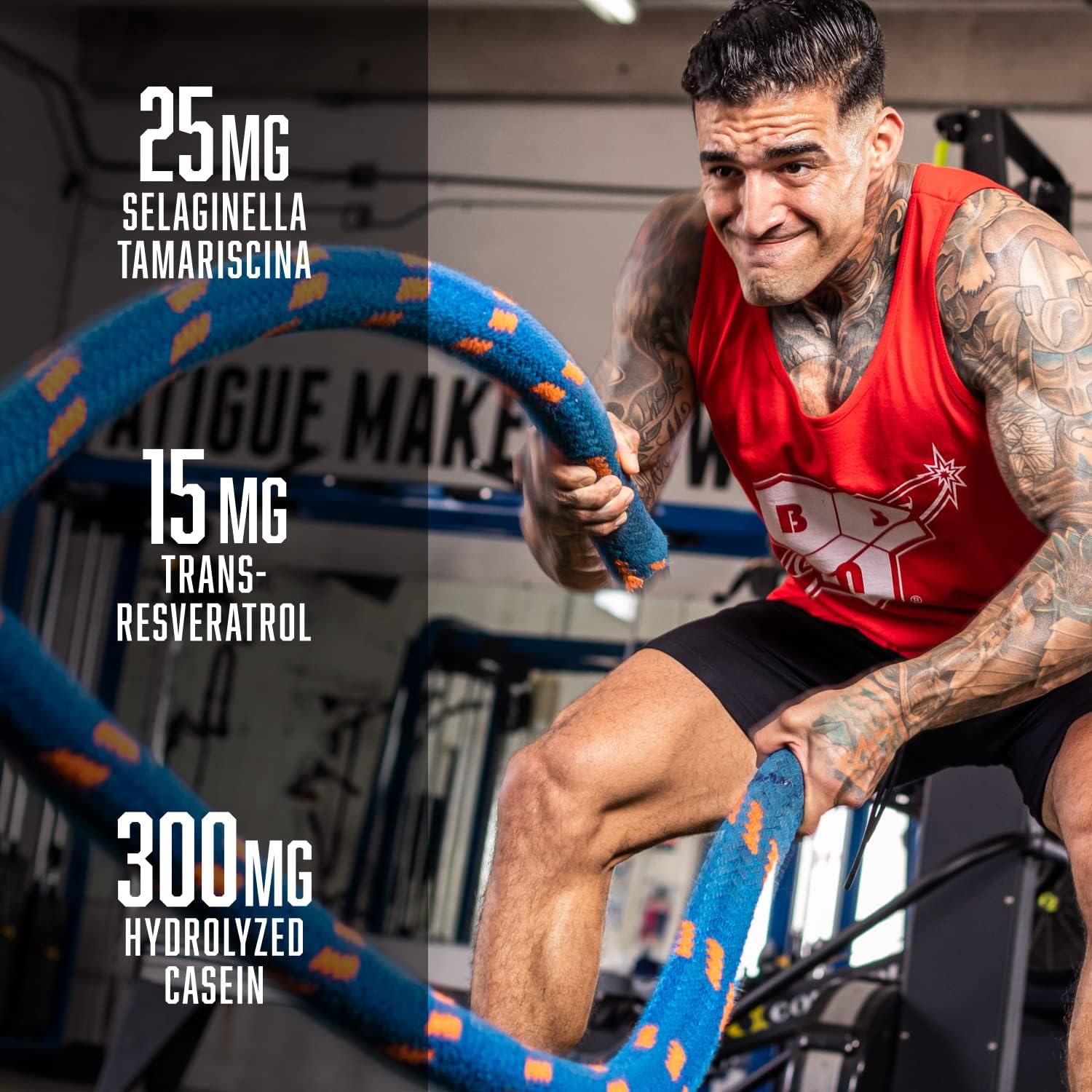پودر پری‌ورک‌اوت BSN مدل NO-Xplode Vaso Pump، 1.11 پوند، طعم هندوانه