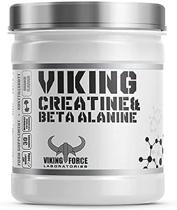 پودر بتا آلانین وایکینگ فورس مدل Creatine and، 300 گرم، 30 سروینگ