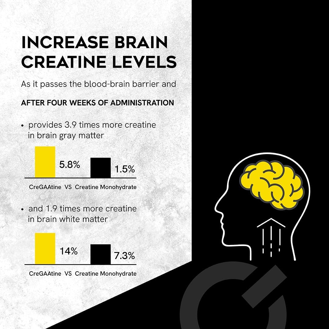 پودر کراتین مونوهیدرات CreGAAtine – 30 وعده، بدون طعم، میکرونیزه