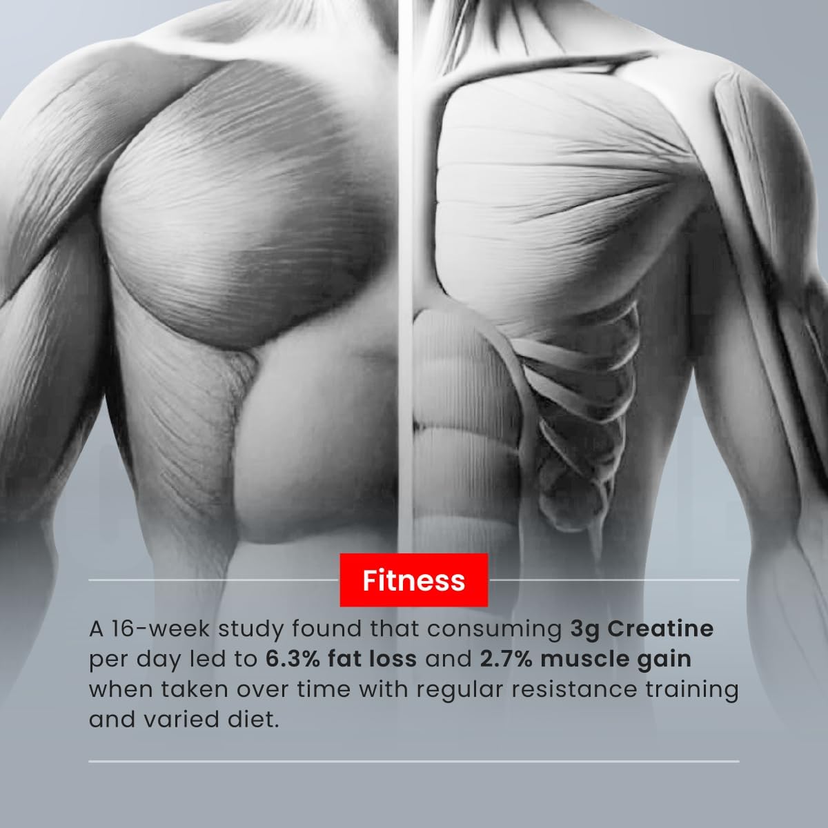 پودر کراتین مونوهیدرات Bigmuscles Nutrition – 150 گرم، 50 وعده، طعم سکس آن د بیچ