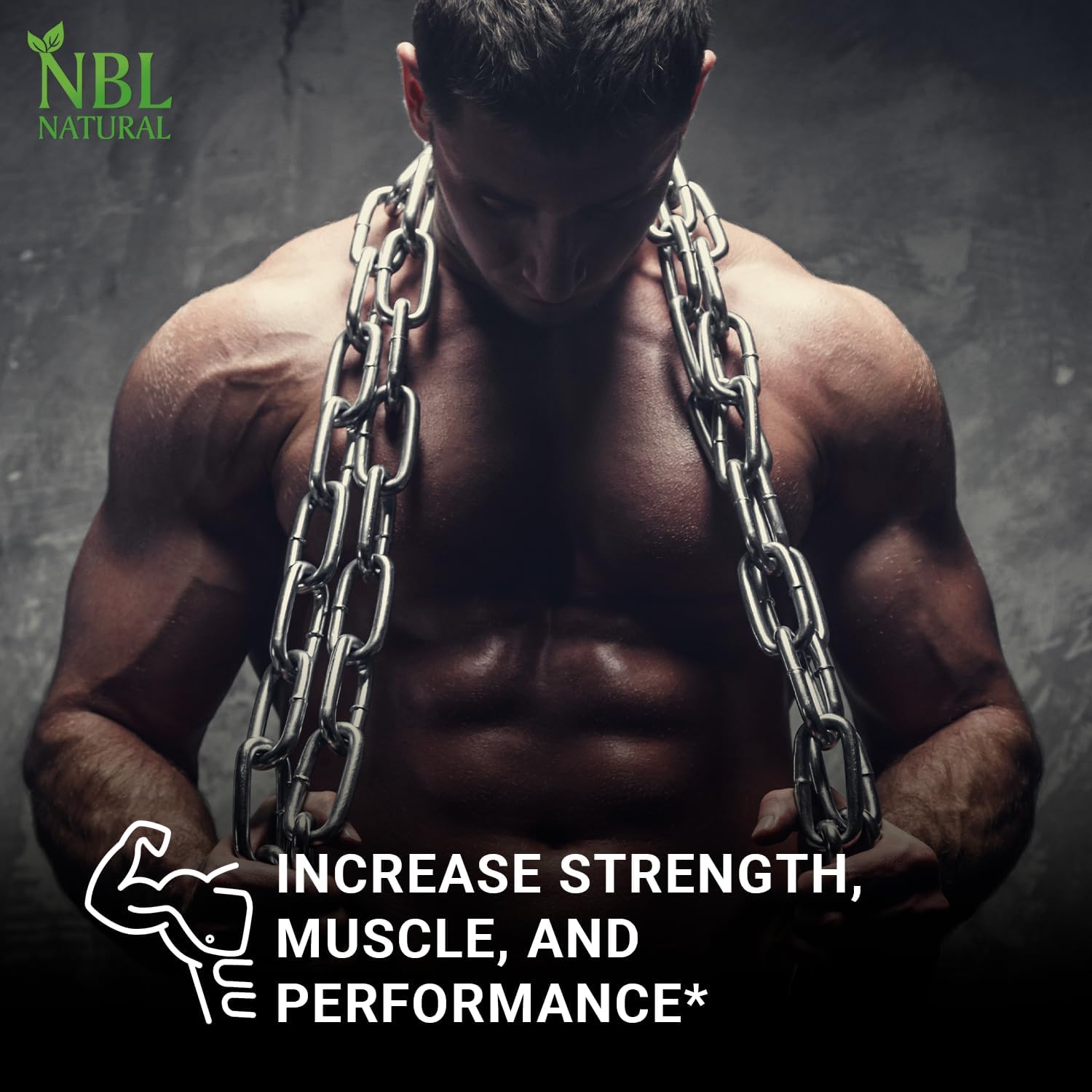 پودر کراتین مونوهیدرات NBL NATURAL – 400 گرم، 80 وعده، بدون طعم