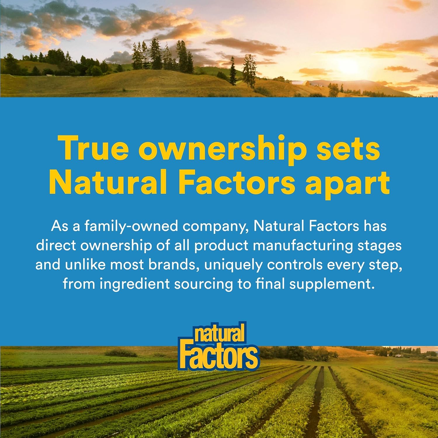 پودر ال-گلوتامین Natural Factors، 1000 میلی‌گرم