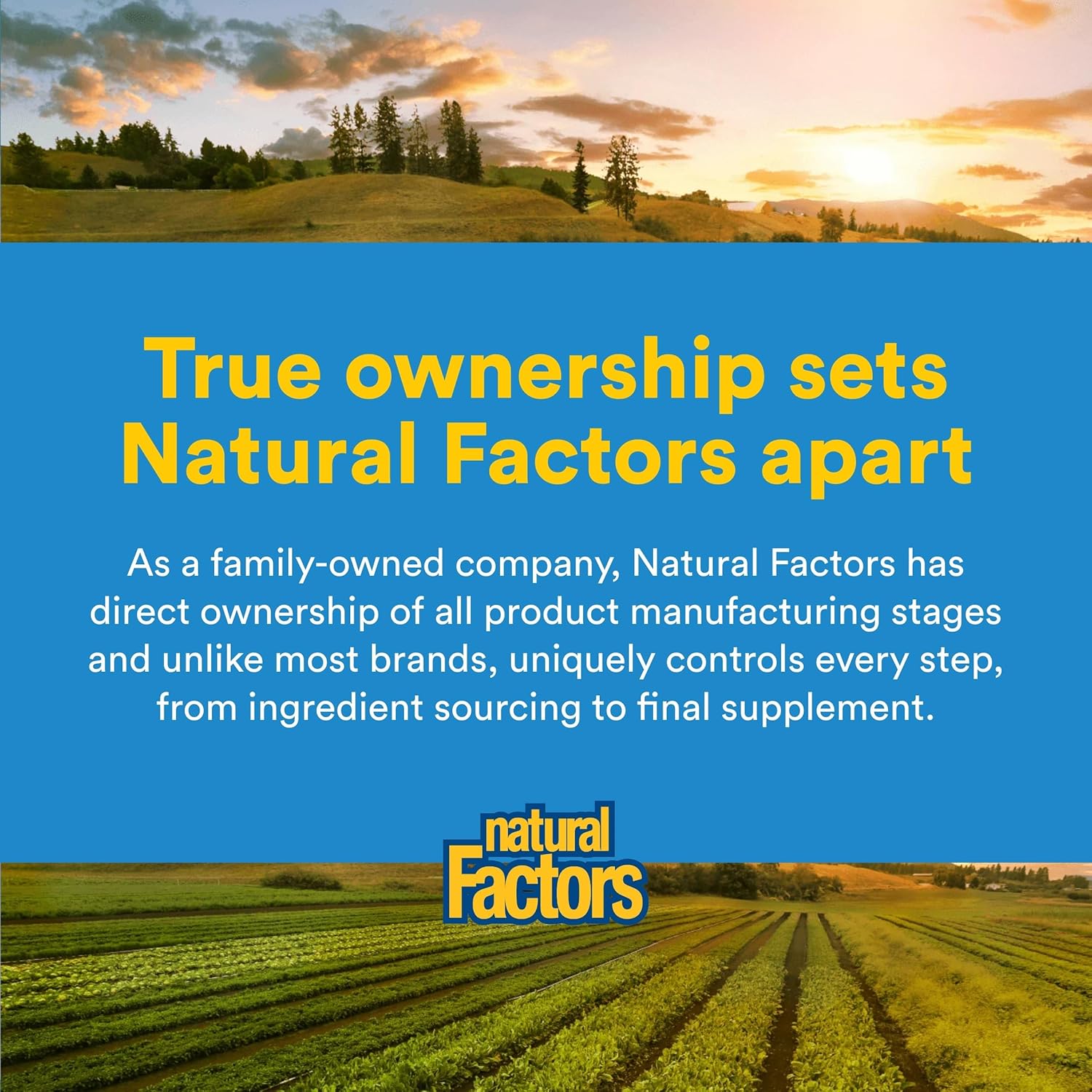پودر ال-گلوتامین Natural Factors، 300 گرم
