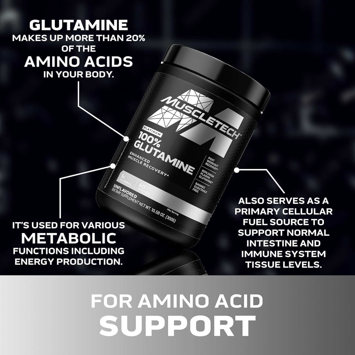 پودر ال-گلوتامین Muscletech مدل Platinum 100% Glutamine، 300 گرم، 60 وعده، بدون طعم