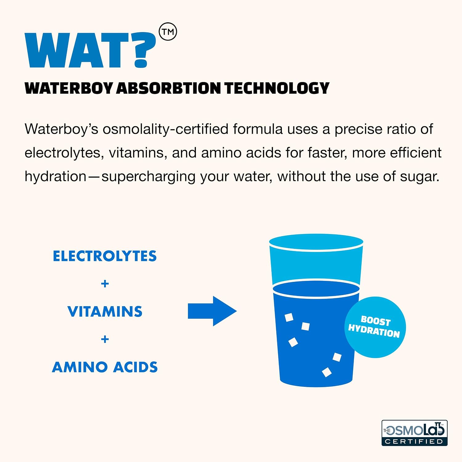 ساشه ال-گلوتامین Waterboy، 400 میلی‌گرم، 15 عدد، طعم تمشک آبی