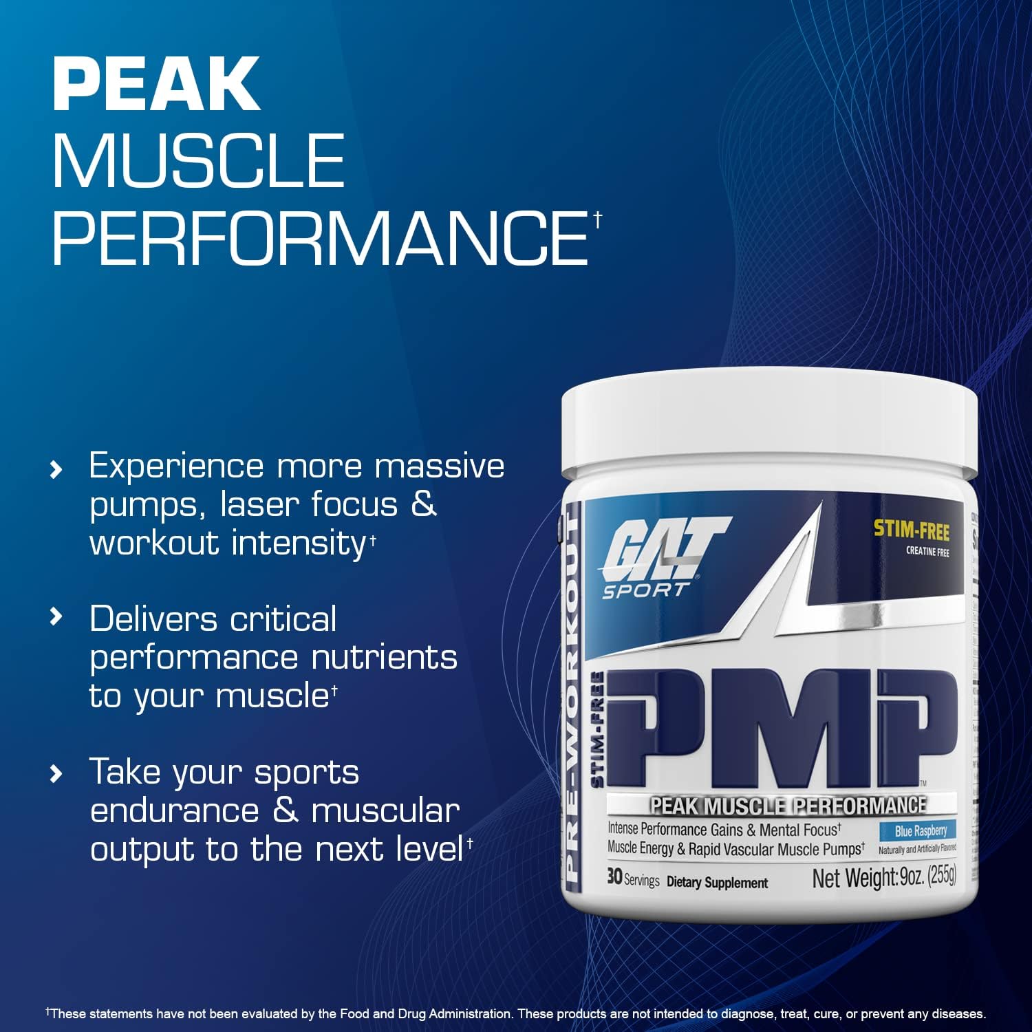 پودر پری‌ورک‌اوت GAT SPORT مدل PMP، 9 اونس، طعم تمشک آبی
