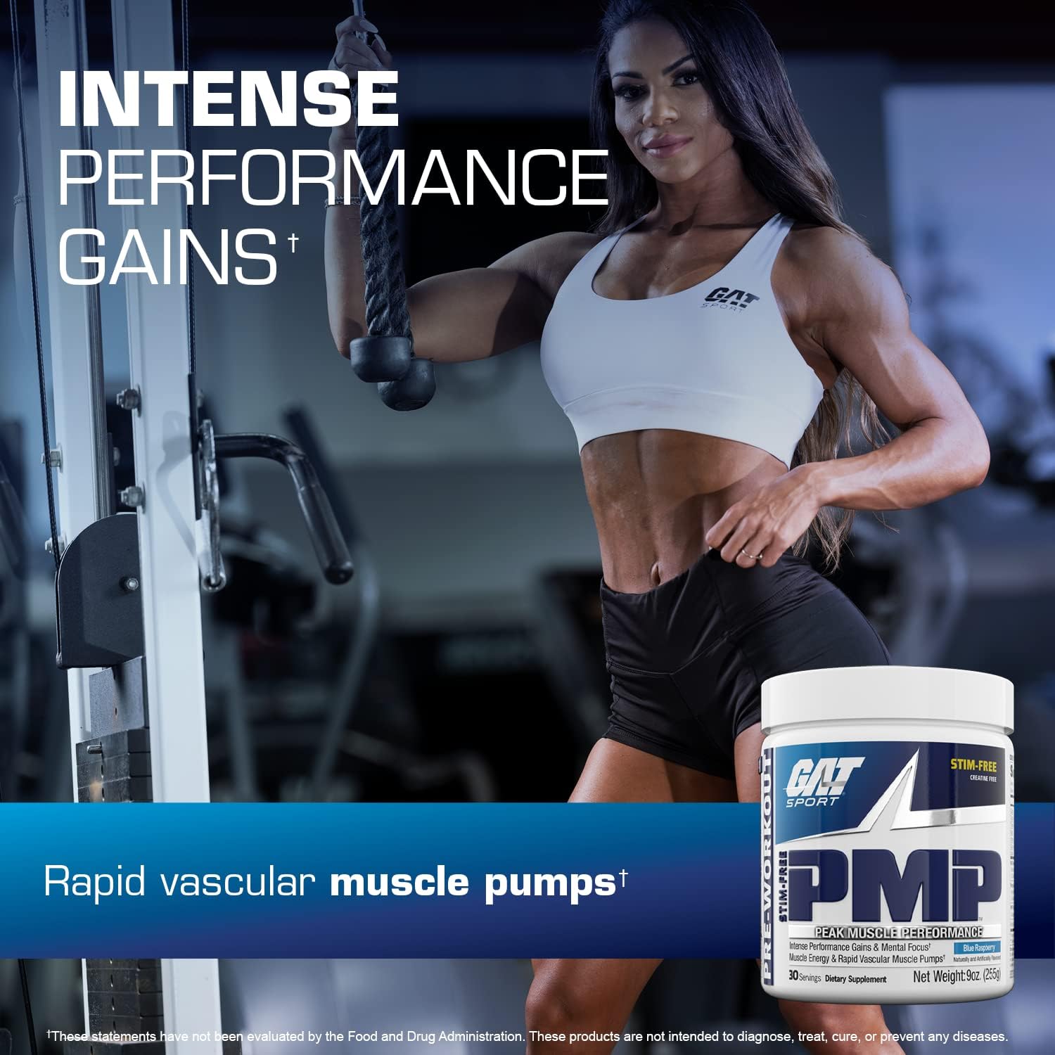 پودر پری‌ورک‌اوت GAT SPORT مدل PMP، 9 اونس، طعم تمشک آبی