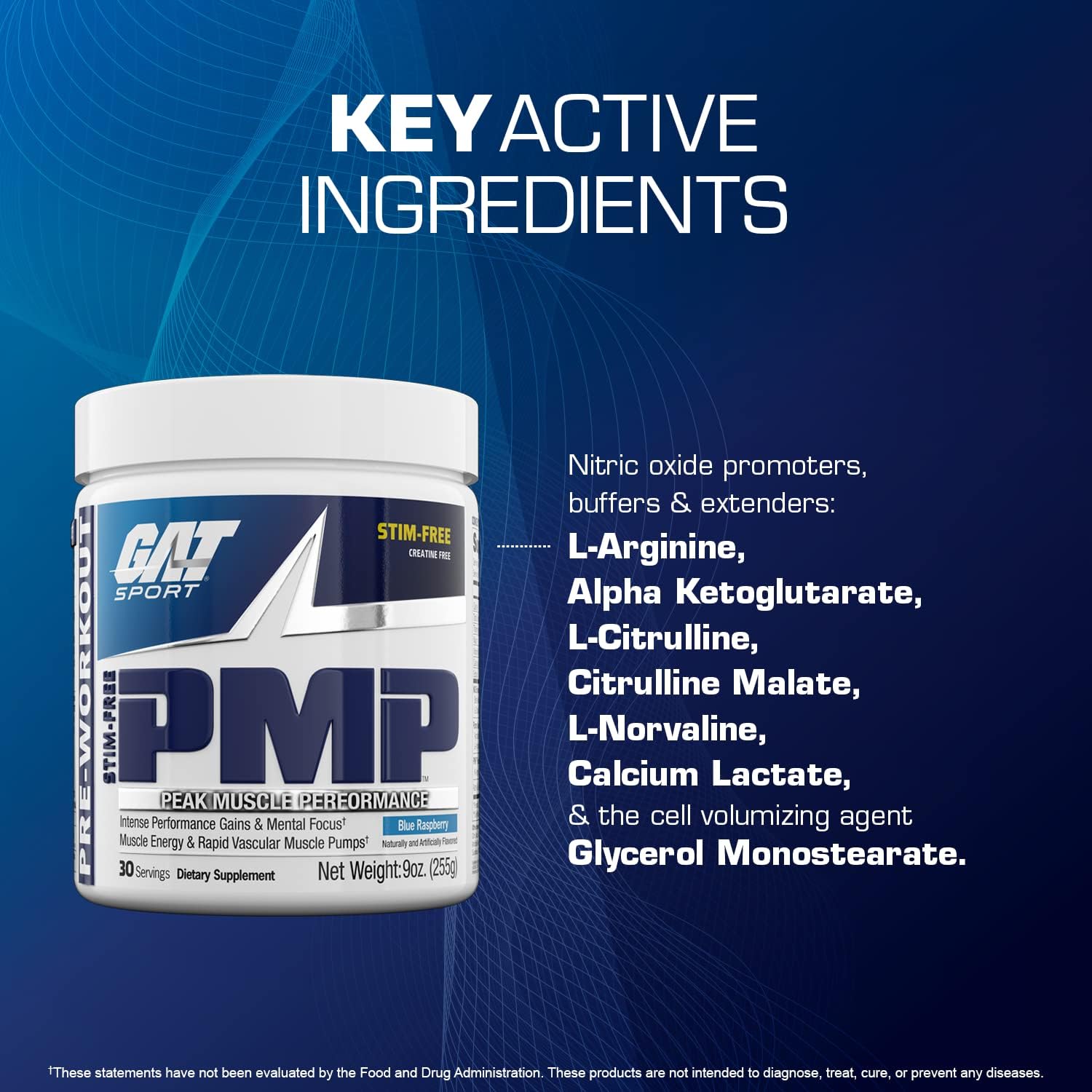 پودر پری‌ورک‌اوت GAT SPORT مدل PMP، 9 اونس، طعم تمشک آبی