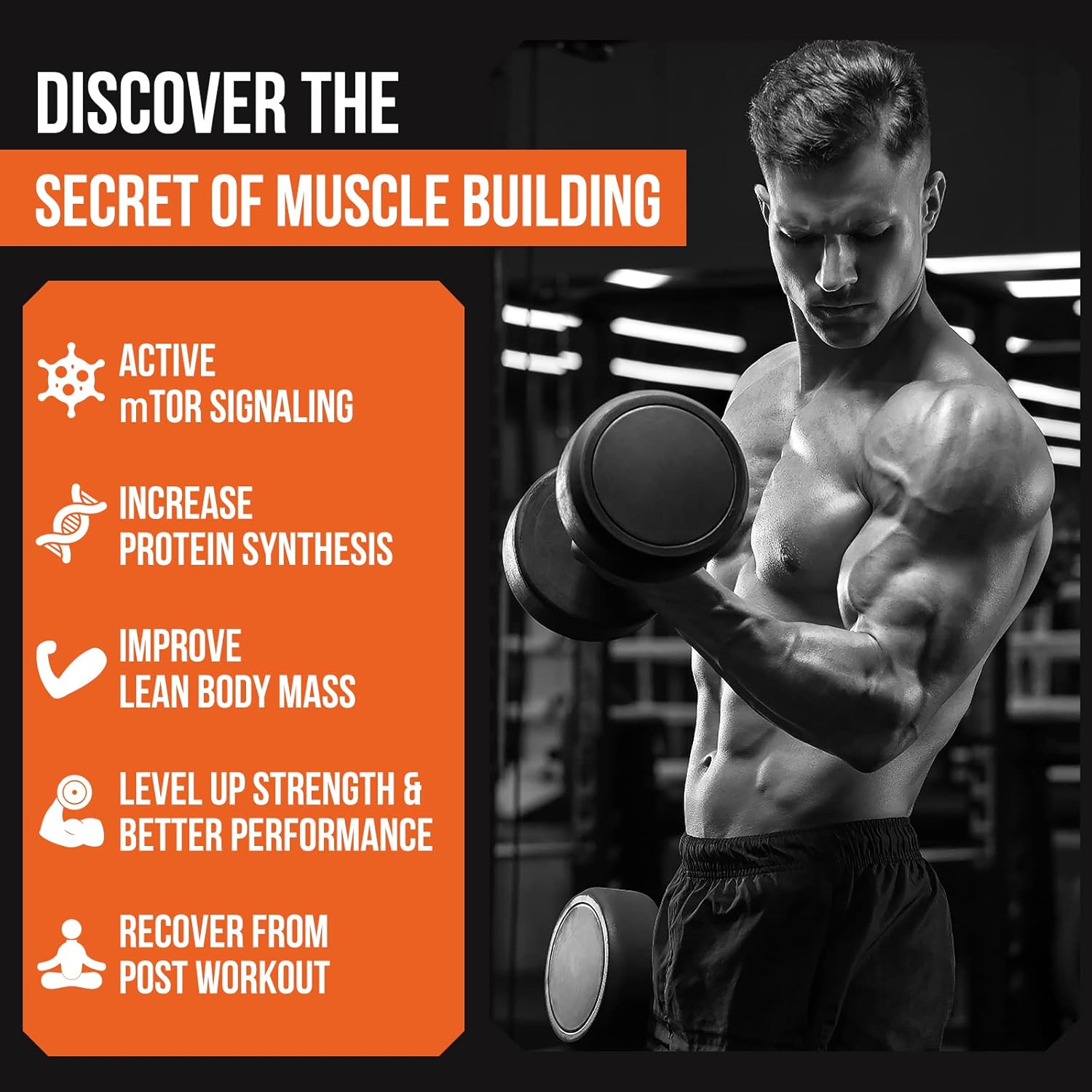 مکمل عضله‌ساز Thalacy مدل Muscle Builder، 10 بسته