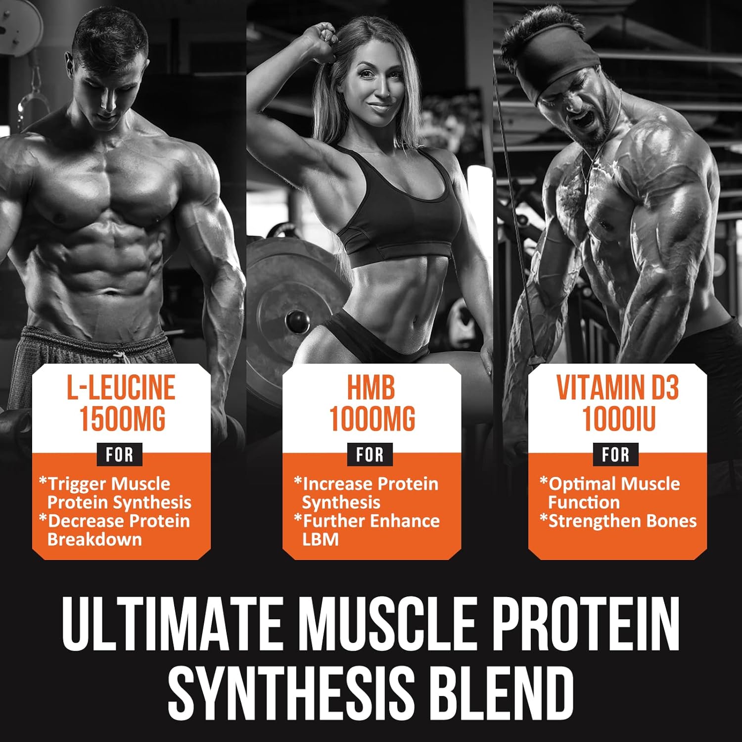 مکمل عضله‌ساز Thalacy مدل Muscle Builder، 10 بسته