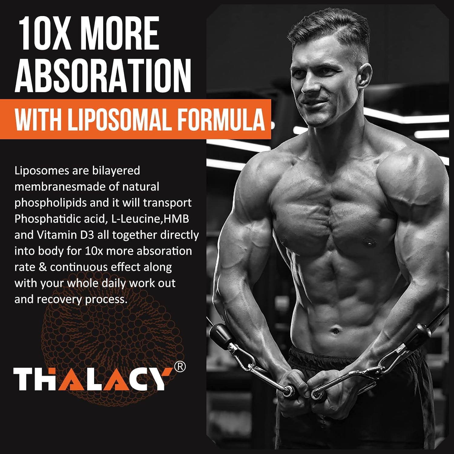 مکمل عضله‌ساز Thalacy مدل Muscle Builder، 10 بسته