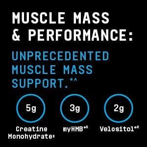 پودر گینر BEYOND RAW مدل Dynamic Gainer، 15 وعده، طعم شکلات