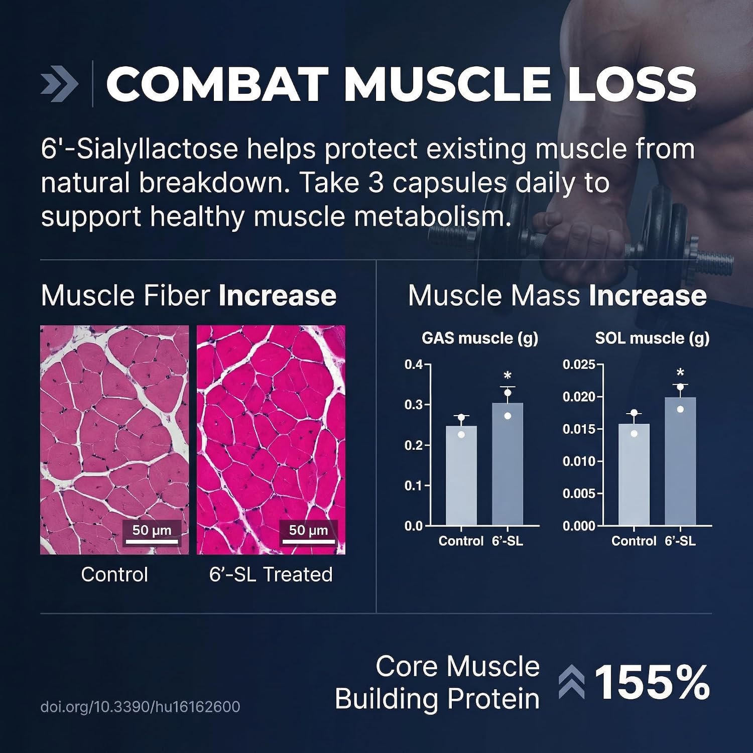 مکمل ورزشی SIALLAC مدل Muscle Health، 90 قرص