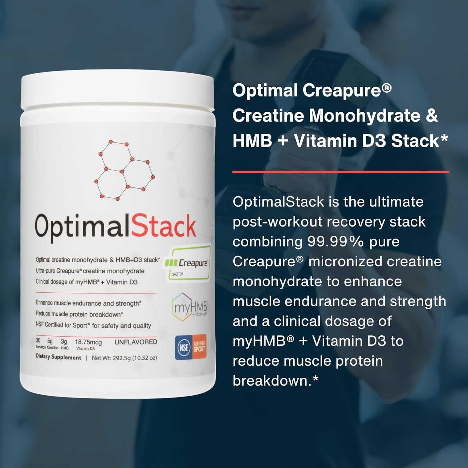 پودر کراتین و HMB optimal amino، 30 وعده، بدون طعم