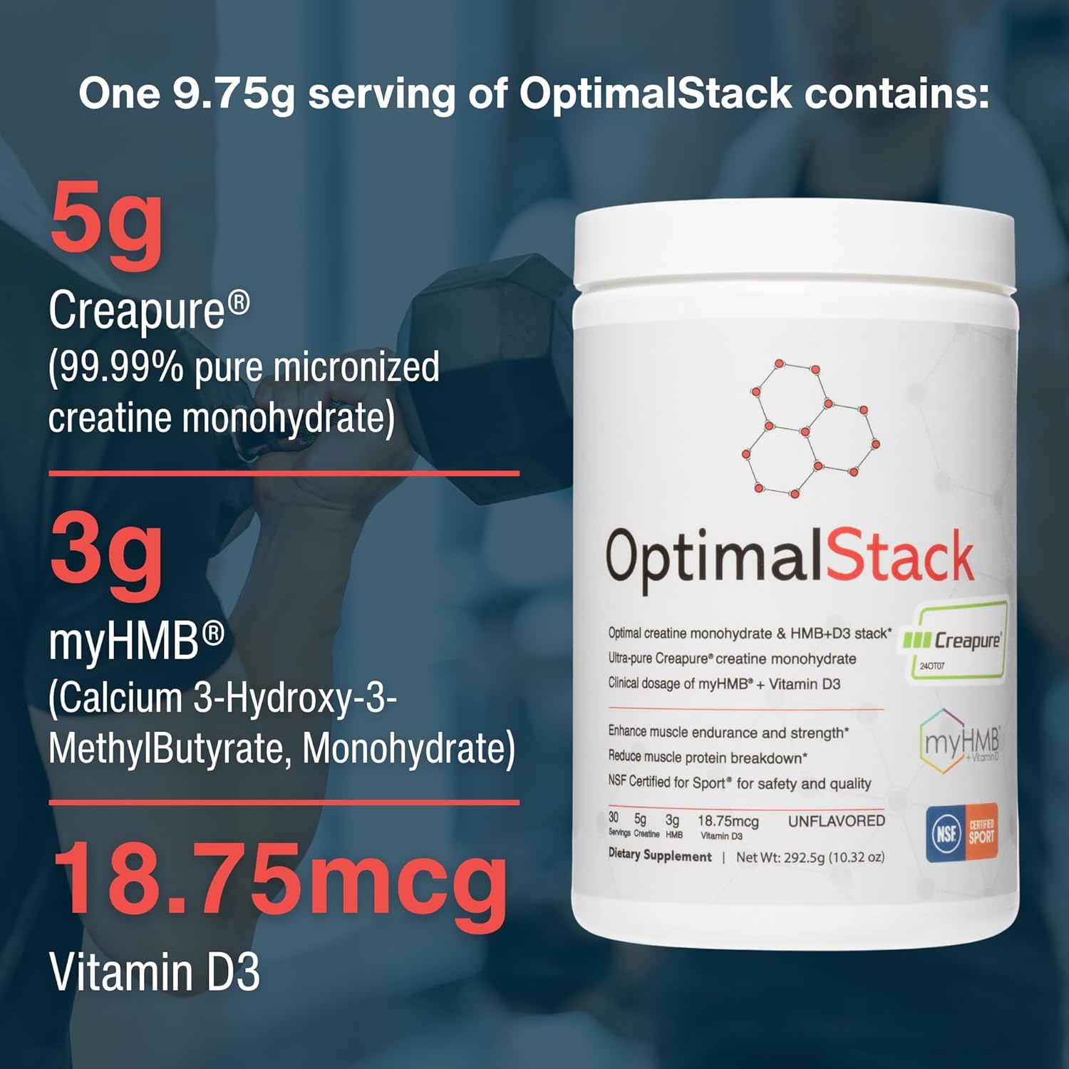 پودر کراتین و HMB optimal amino، 30 وعده، بدون طعم