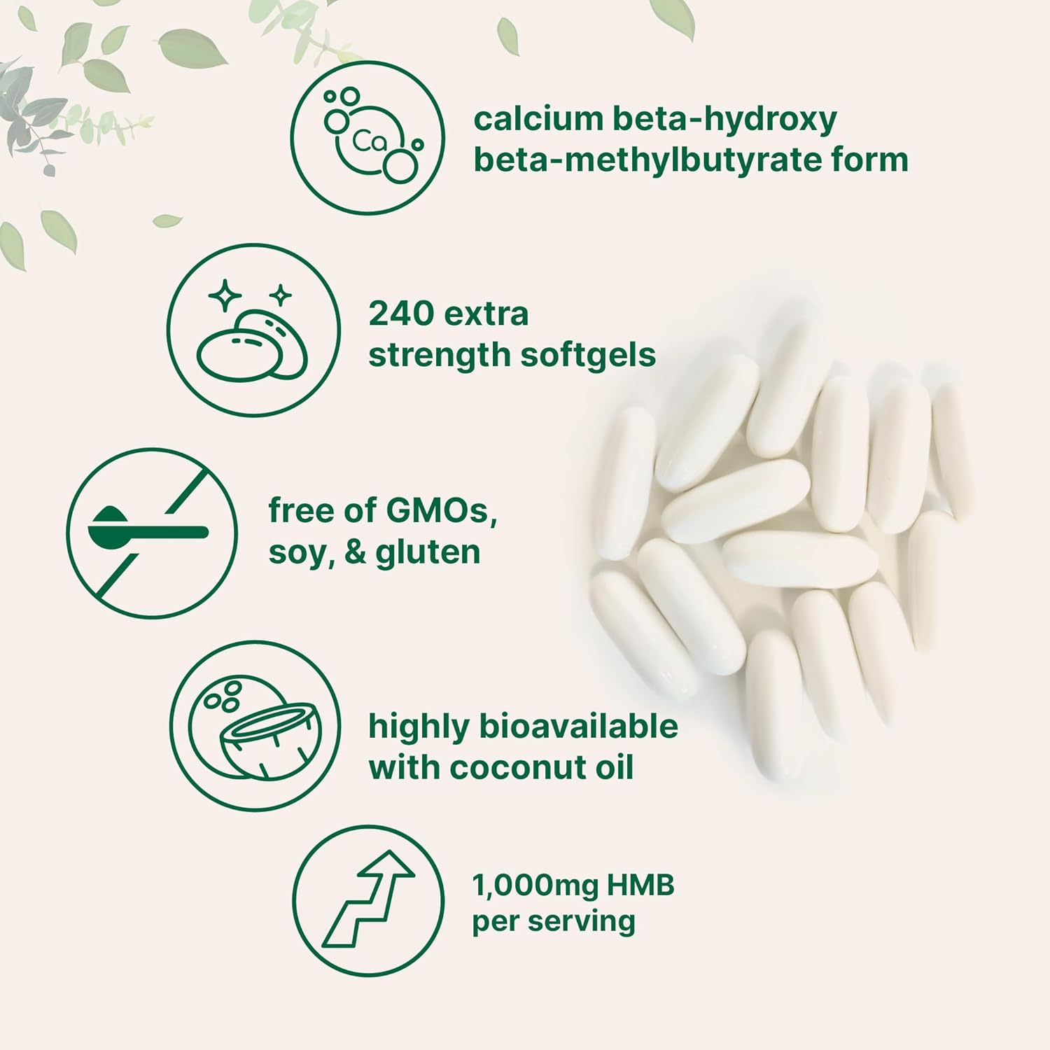سافت‌ژل HMB Micro Ingredients، 1000 میلی‌گرم HMB، 240 سافت‌ژل