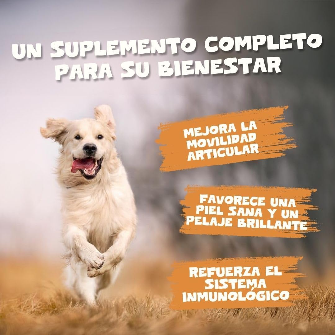 روغن سالمون امگا ۳ برای سگ و گربه، Pets Purest، 500 میلی‌لیتر