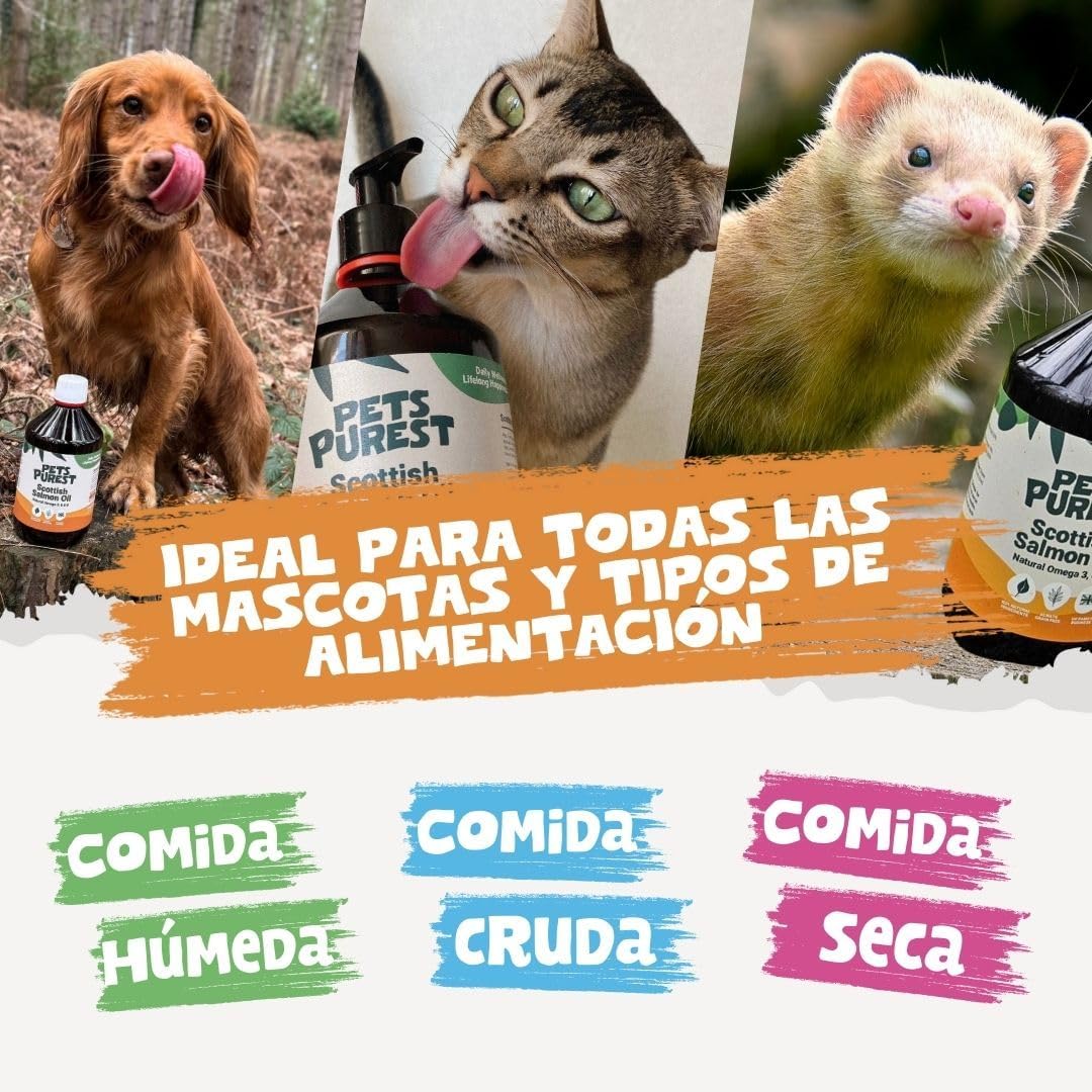 روغن سالمون امگا ۳ برای سگ و گربه، Pets Purest، 500 میلی‌لیتر