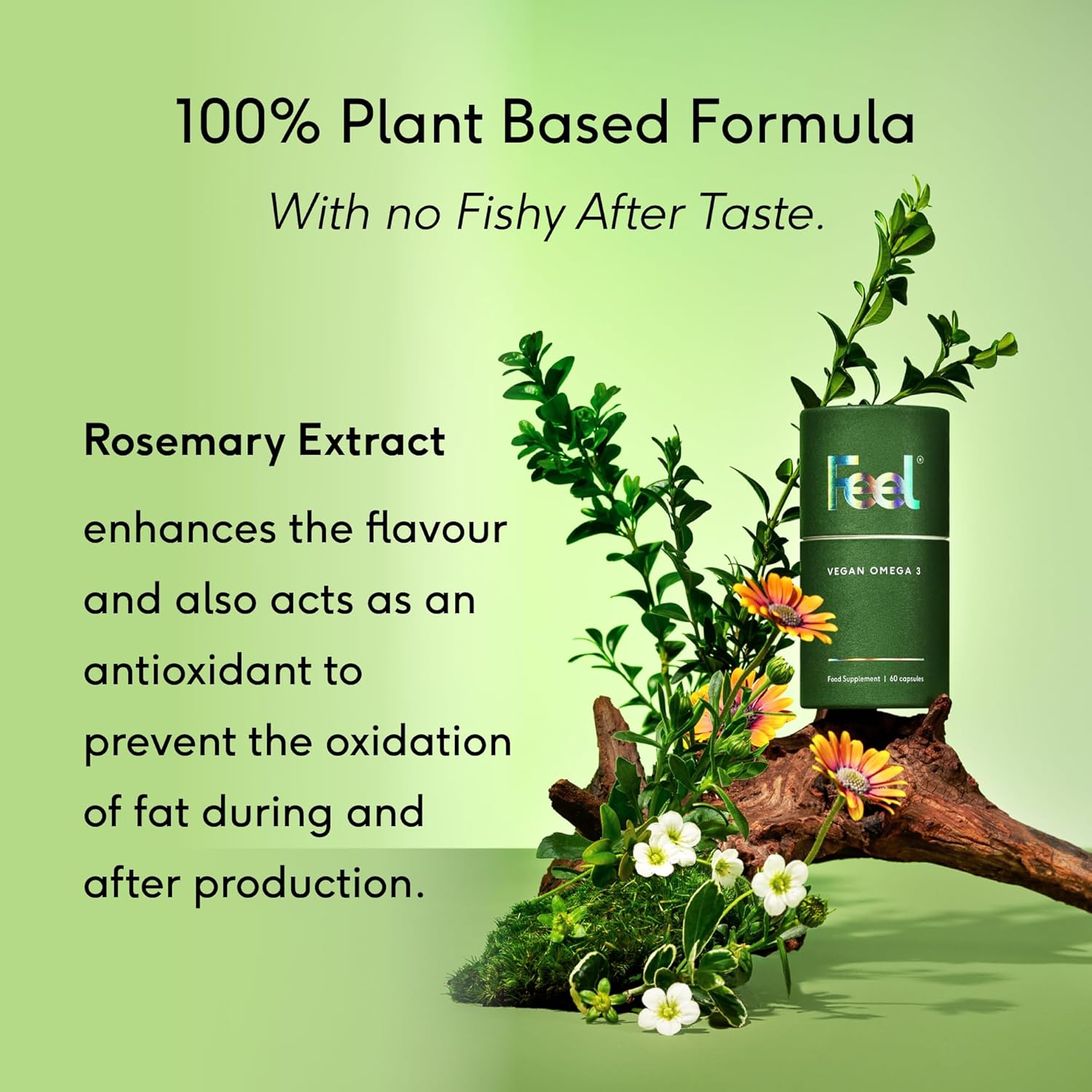کپسول روغن ماهی امگا ۳، FEEL، 60 کپسول