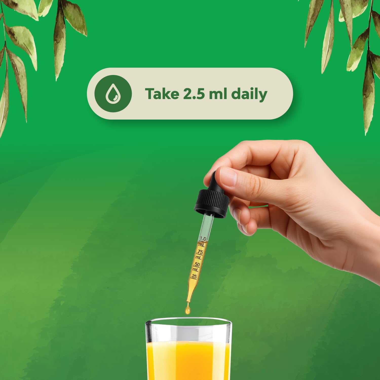 شربت امگا ۳ کودکان، Natures Craft، 2 اونس مایع
