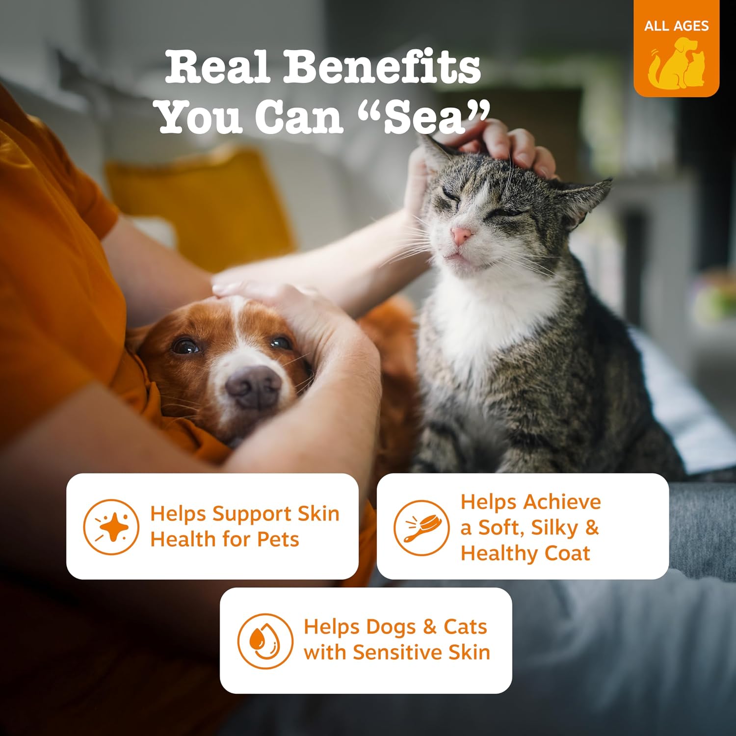 روغن سالمون امگا ۳ برای سگ و گربه، Zesty Paws، 8.5 اونس