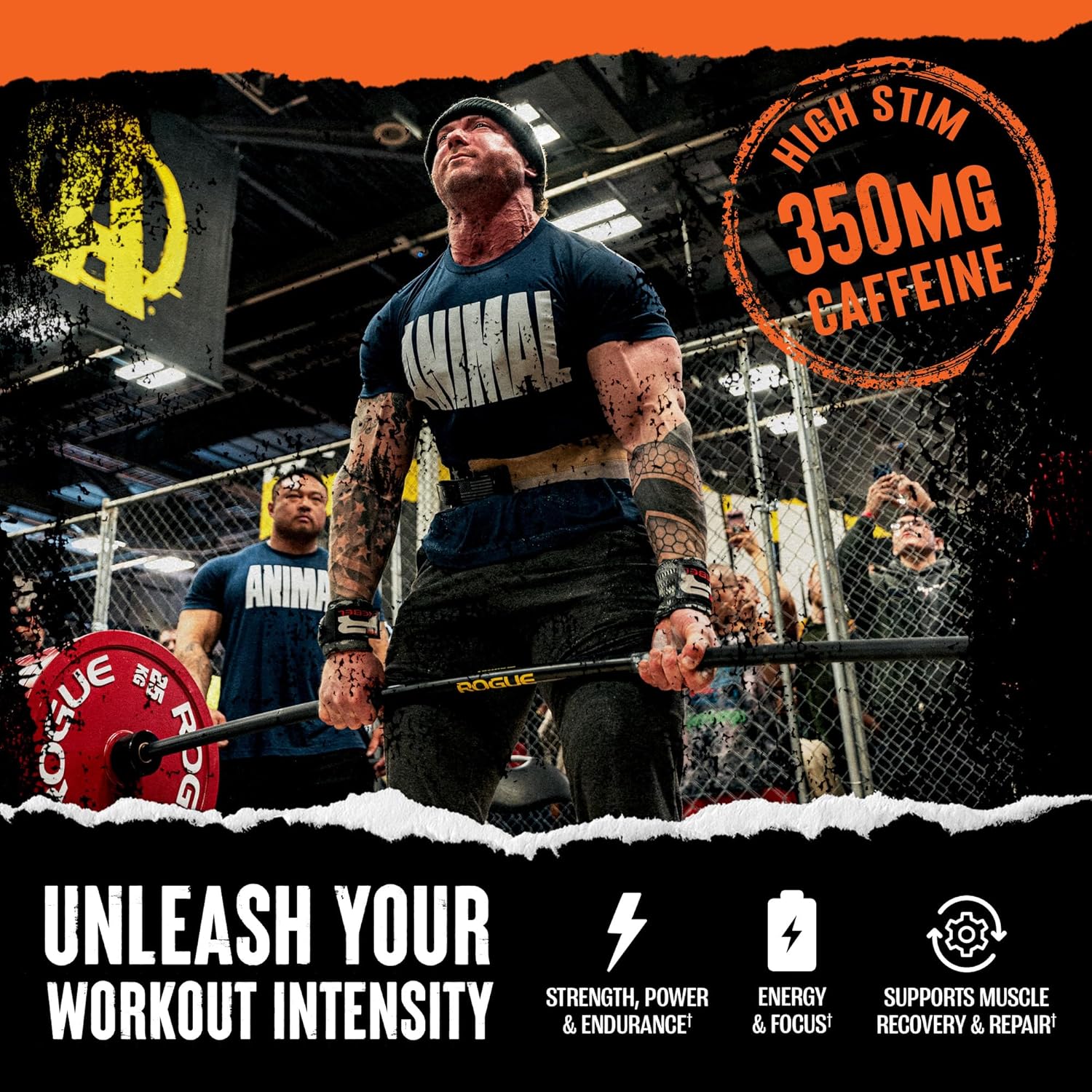 پودر مکمل قبل از تمرین انیمال Pre – Workout Fury Essentials Blue، طعم تمشک آبی، 498.95 گرم