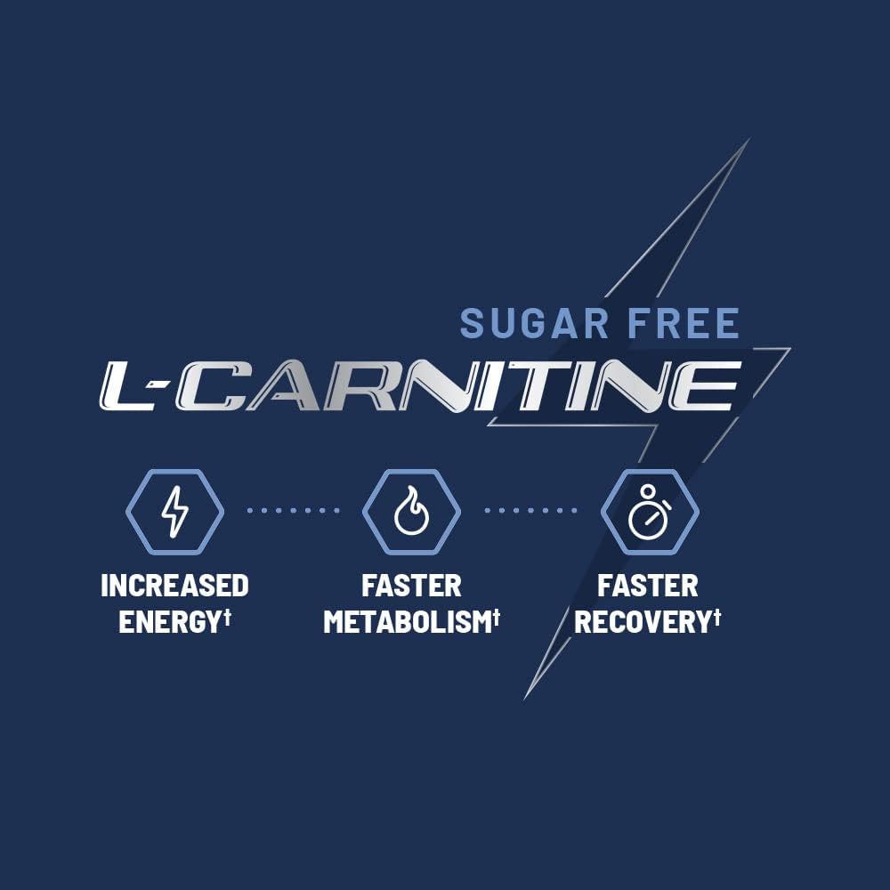 پاستیل مکمل قبل از تمرین اسنپ ساپلمنتس Sugar Free L Carnitine Gummies، طعم بری، 222 گرم