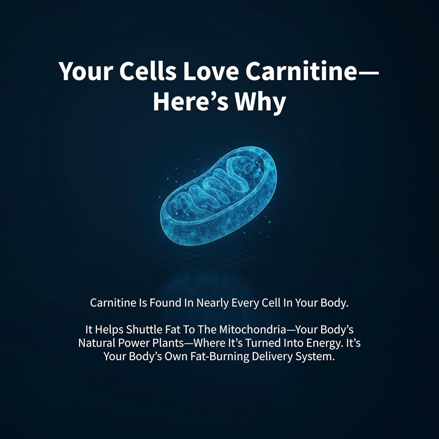 پاستیل مکمل قبل از تمرین اسنپ ساپلمنتس Sugar Free L Carnitine Gummies، طعم بری، 222 گرم