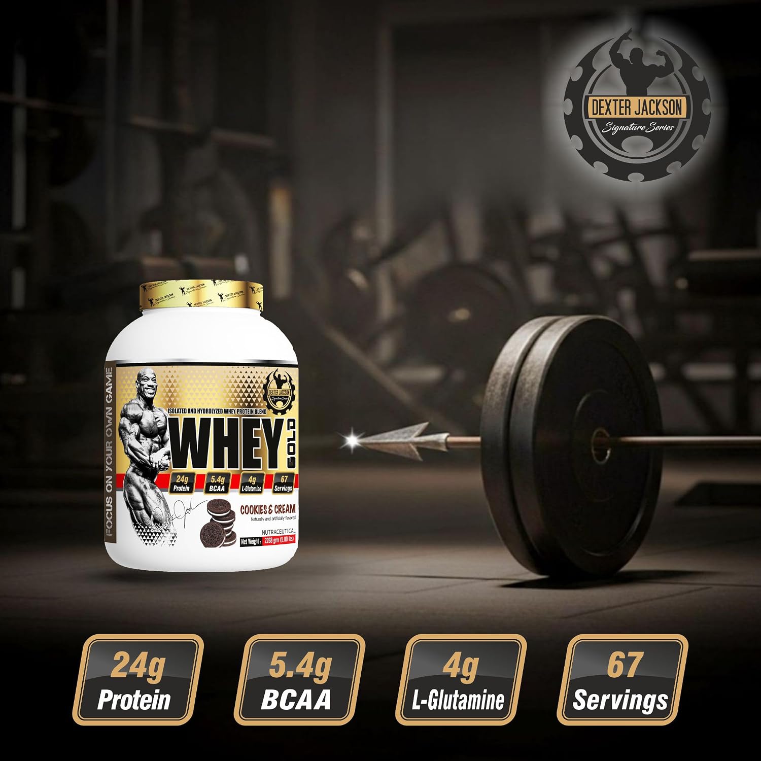 پودر پروتئین وی دکستر جکسون مدل Whey Gold، ۵ پوند و طعم شکلات
