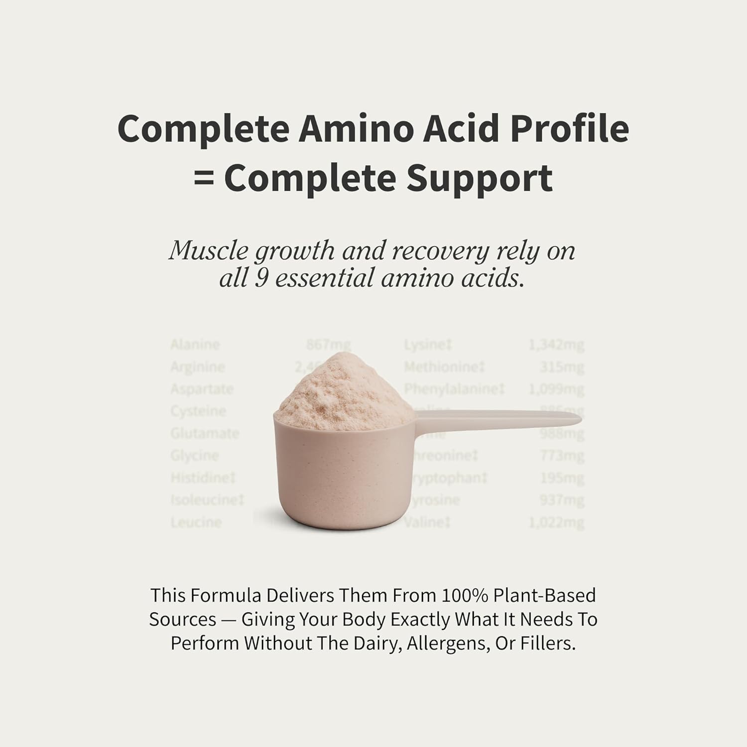 پودر پروتئین گیاهی اسنپ ساپلیمنتس، ۲۱ گرم پروتئین، ۳۰ سروینگ و طعم شکلات