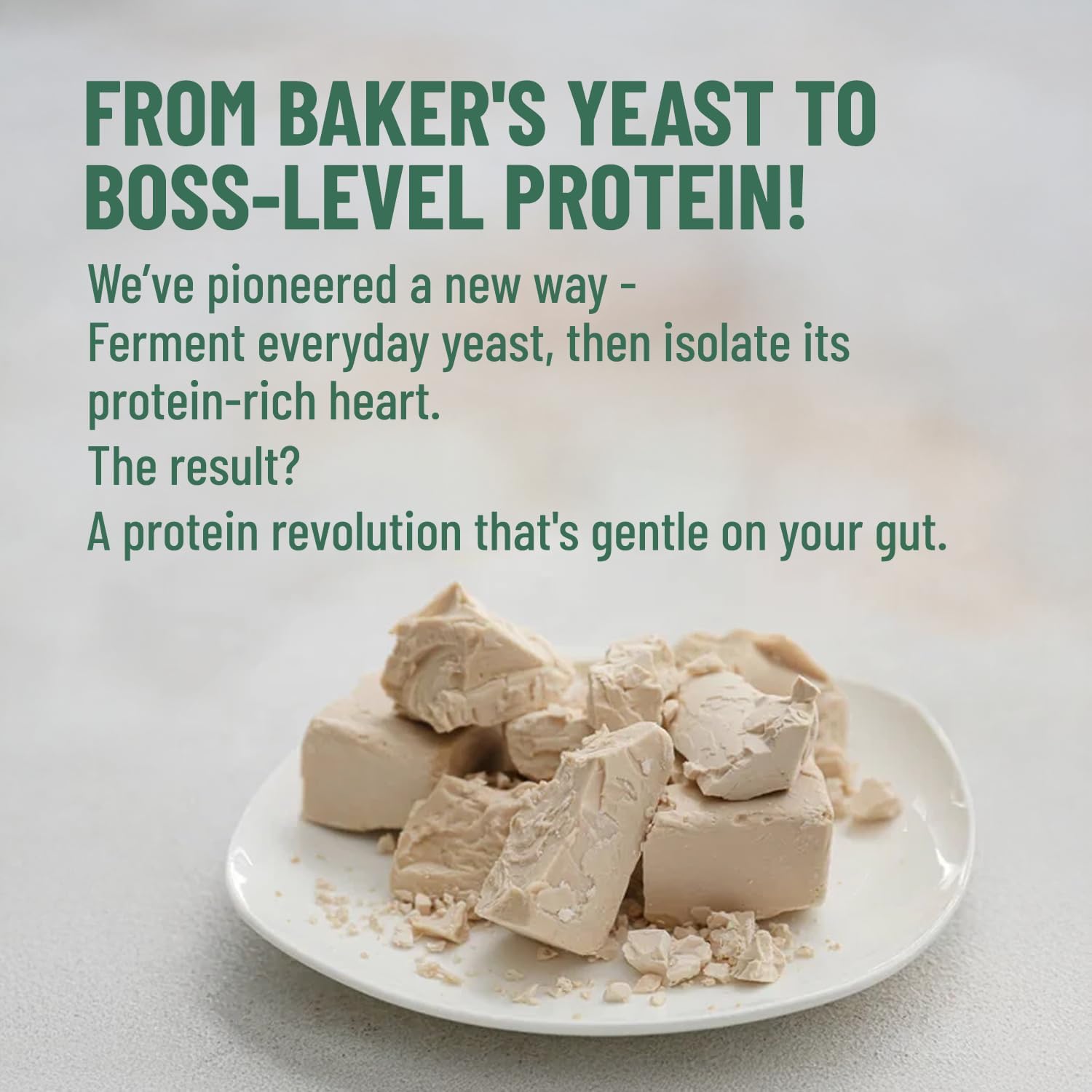 پودر پروتئین گیاهی میله مدل Millé Plant Protein، ۲۵ گرم پروتئین، بدون شکر افزوده، ۳۸ گرم و طعم قهوه فندقی