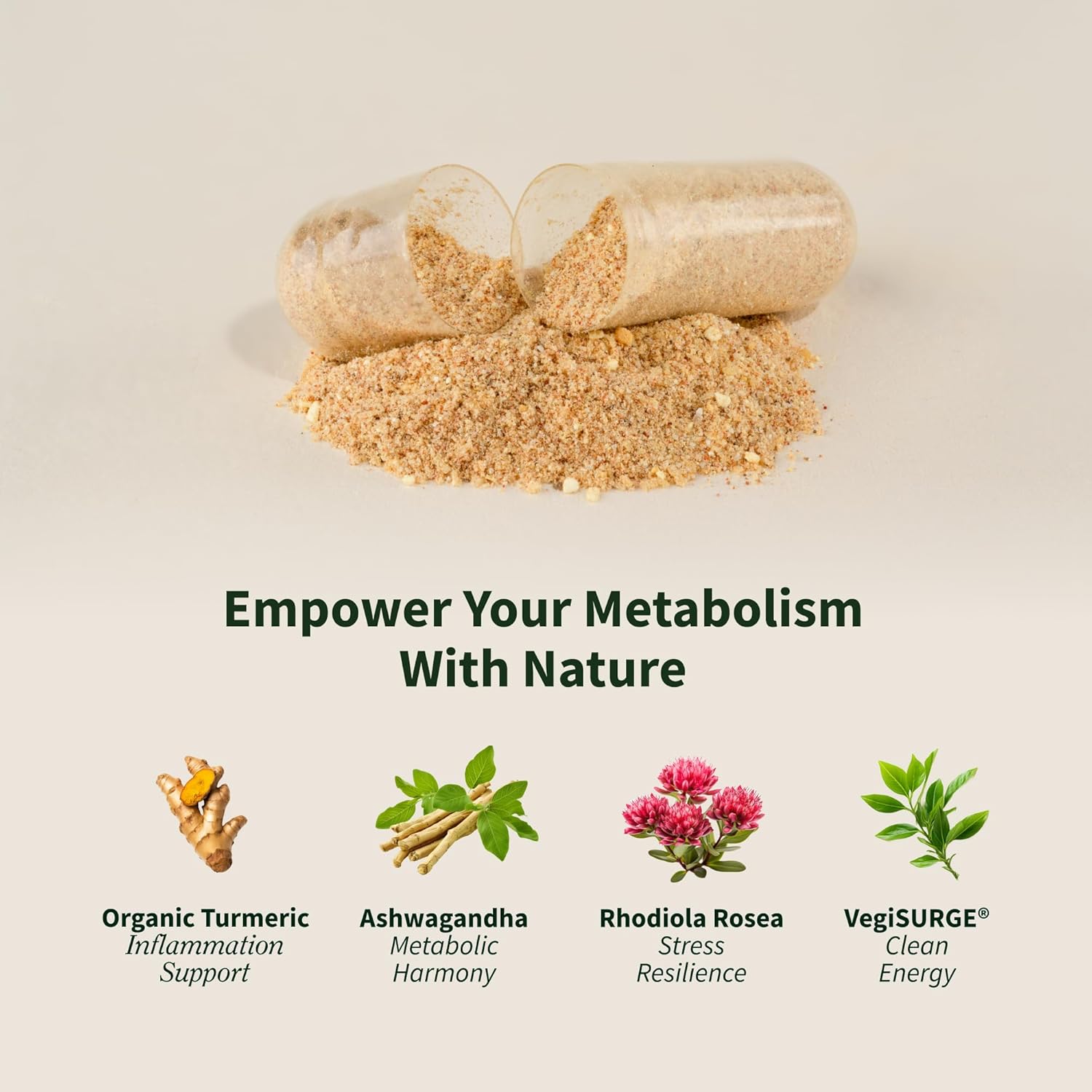 مکمل انرژی و استقامت Snap Supplements، 60 کپسول