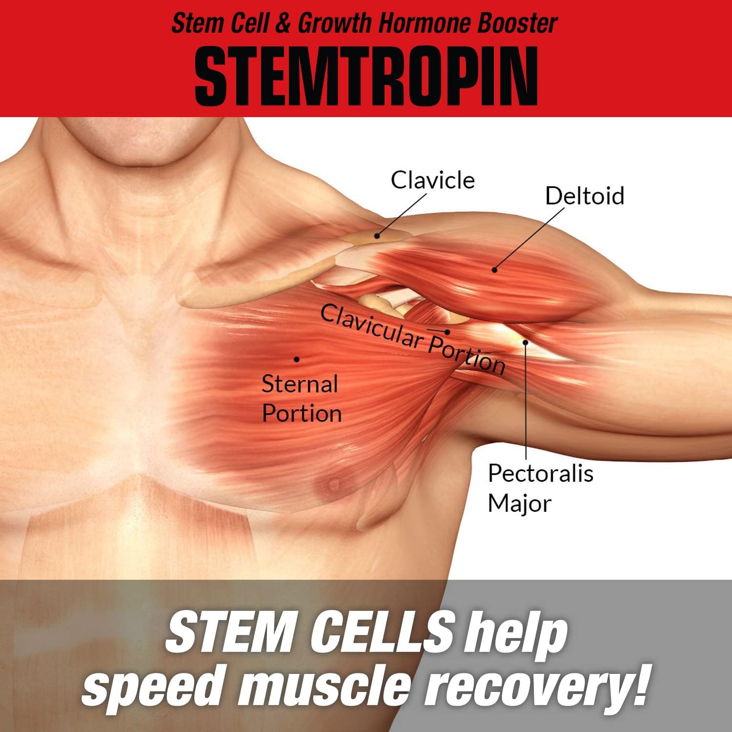 مکمل تقویت عملکرد مردان Musclemeds مدل Stemtropin، 60 کپسول