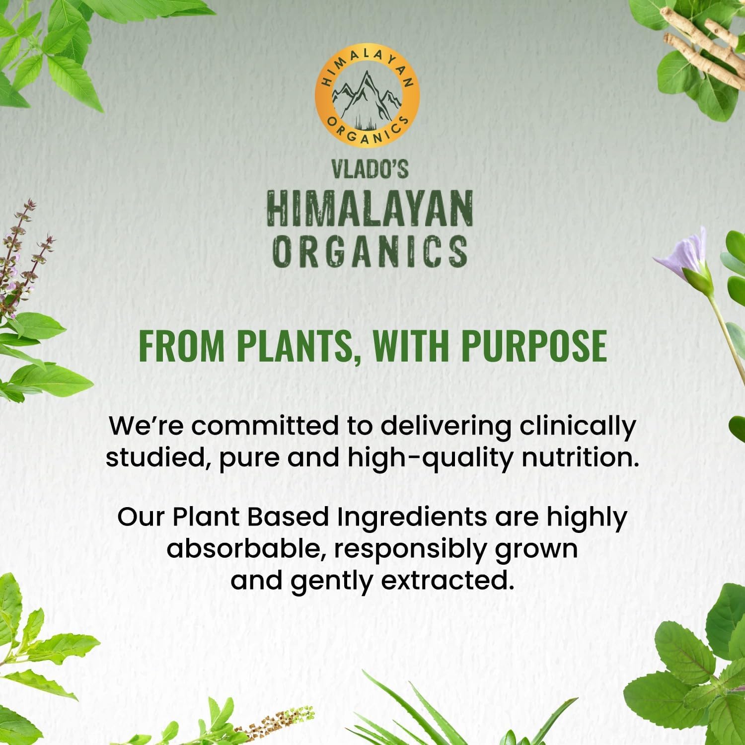 مکمل نیتریک اکساید و پمپ عضلانی HIMALAYAN ORGANICS، 1400 میلی‌گرم، 60 کپسول