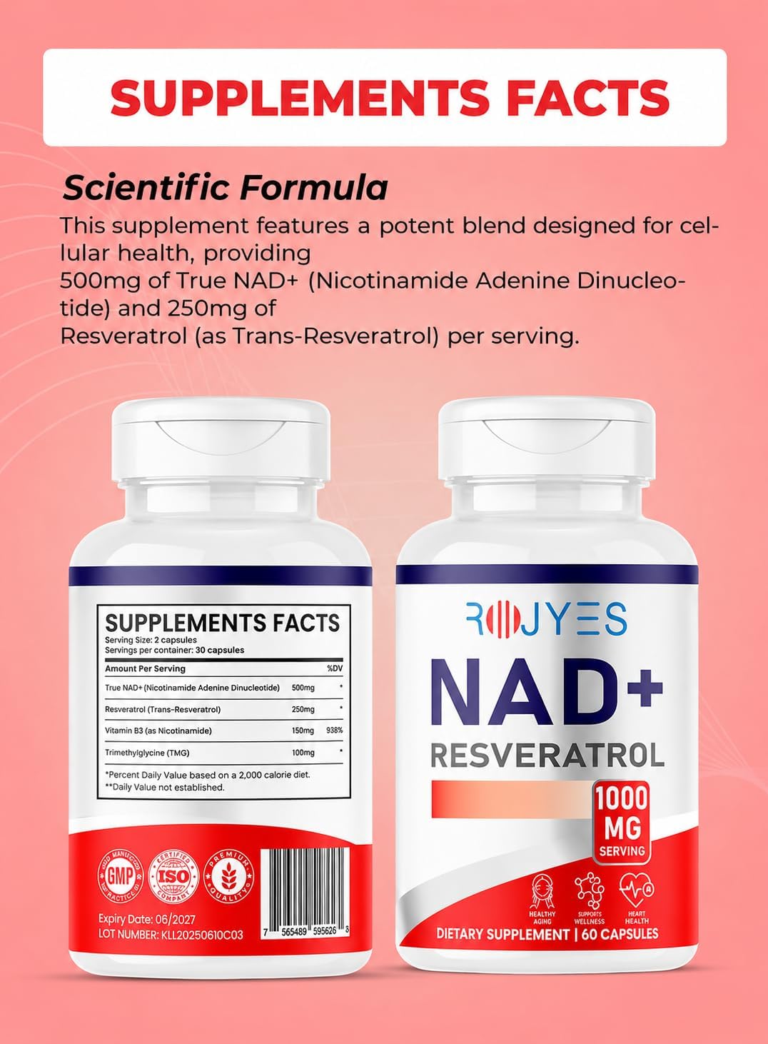مکمل NAD+ و انرژی سلولی Rojyes، 60 کپسول