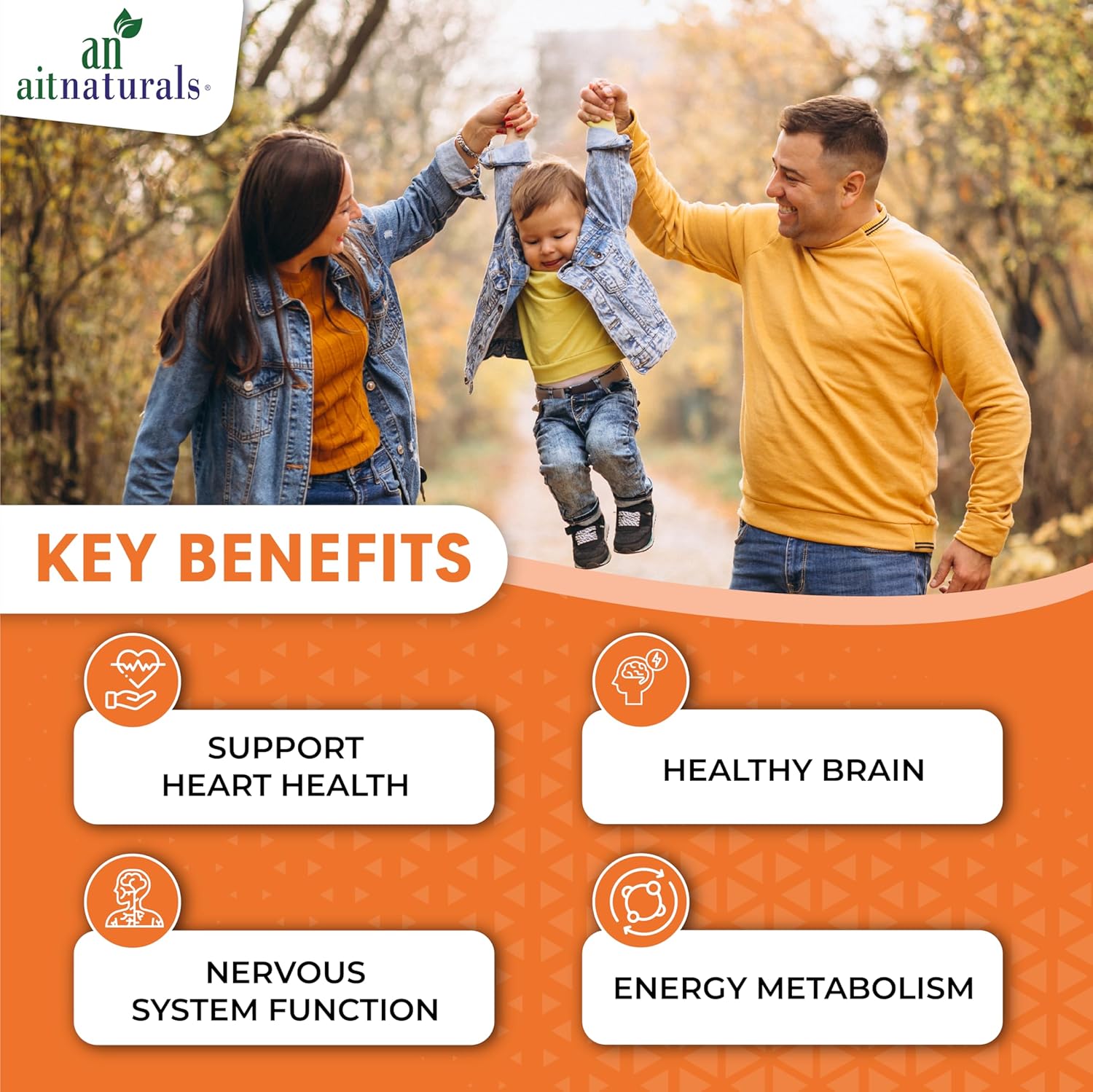 Aitnaturals، مکمل ویتامین B12، 1000 میکروگرم، 100 سافت‌ژل