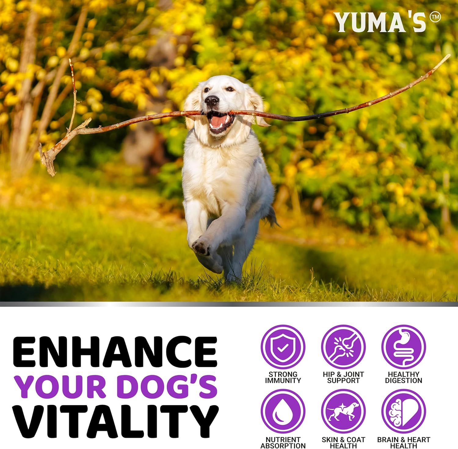 YUMA'S، مولتی‌ویتامین سگ، 240 تشویقی