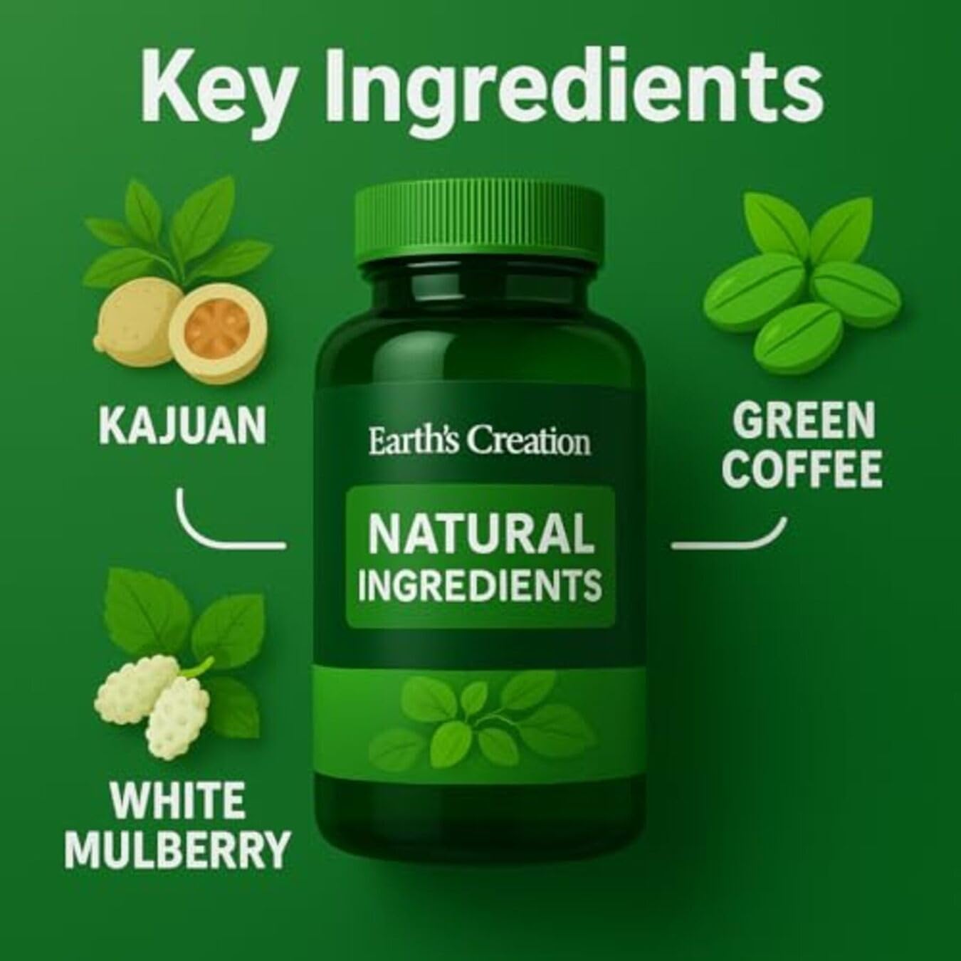 مکمل مدیریت وزن Earth's Creation Sugar Blocker