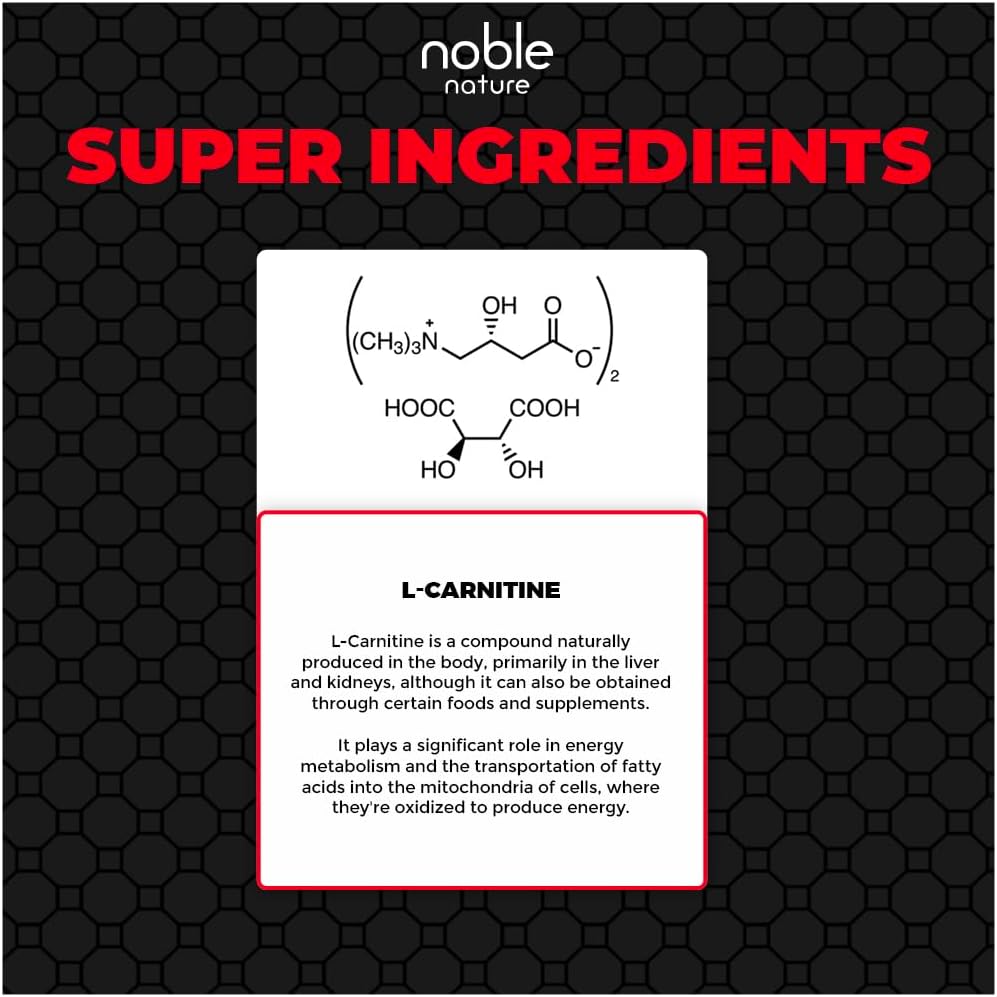 مکمل ال-کارنیتین Noble Nature L Carnitine L Tartrate 120 | 120 کپسول