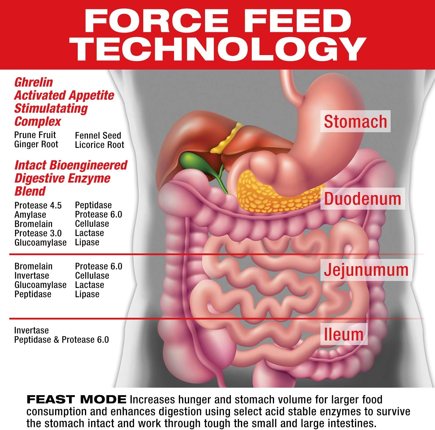مکمل افزایش اشتها و وزن MuscleMeds Feast Mode، 90 کپسول، بدون طعم
