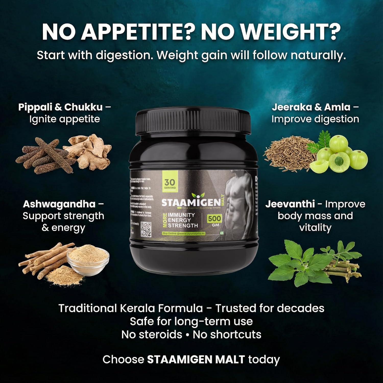 مکمل افزایش اشتها و وزن ALPHA AYURVEDA، 500 گرم