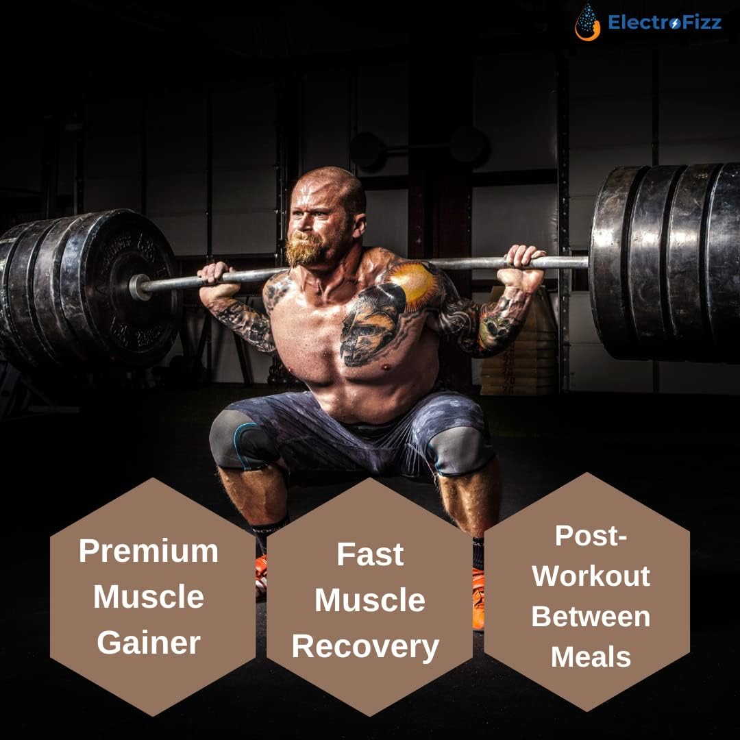 گینر افزایش وزن ElectroFizz Matrix Mass Gainer، 12 گرم پروتئین، 1 کیلوگرم، 30 سروینگ، طعم شکلاتی