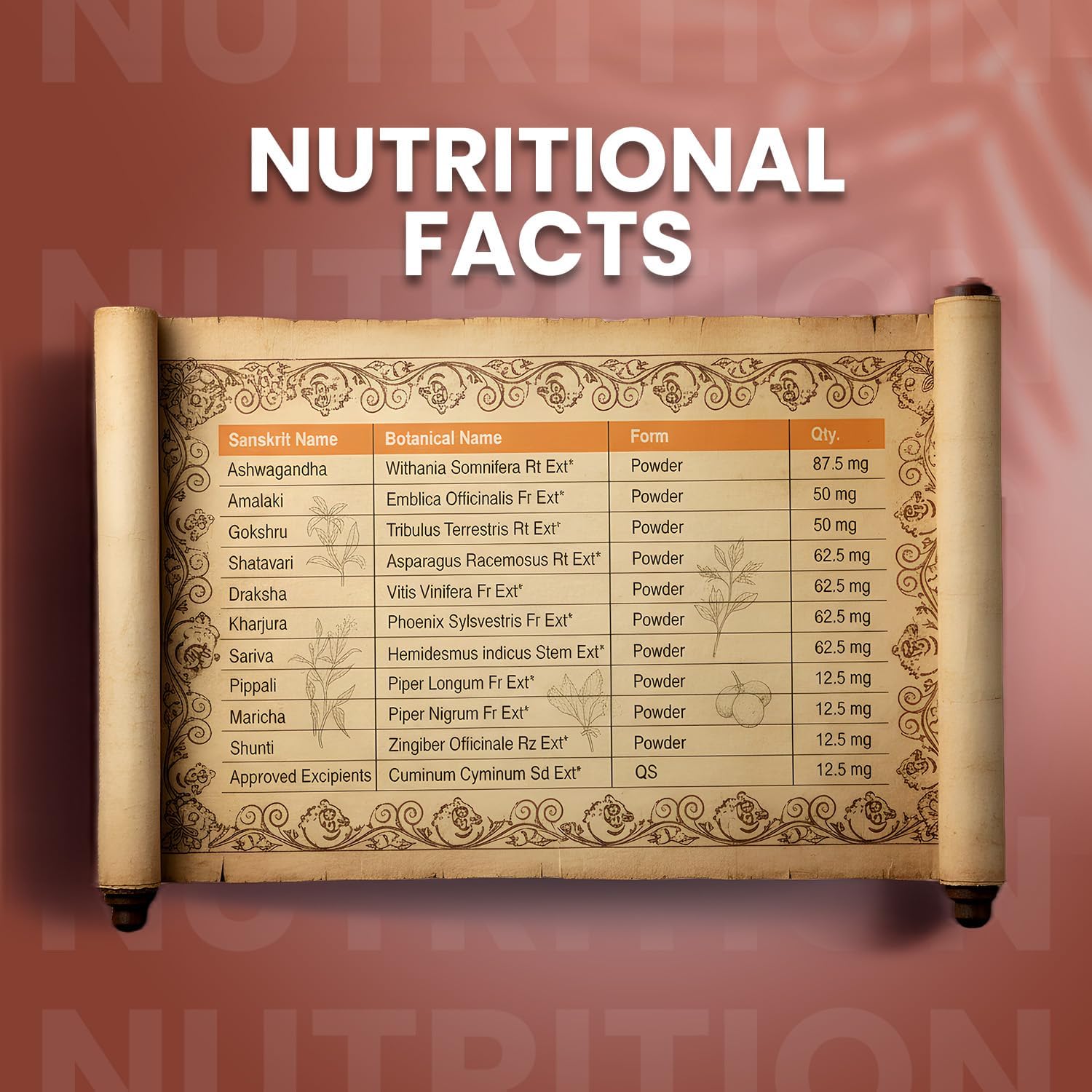 مکمل افزایش اشتها و وزن Nutrigain Plus، 500 گرم، طعم شکلاتی